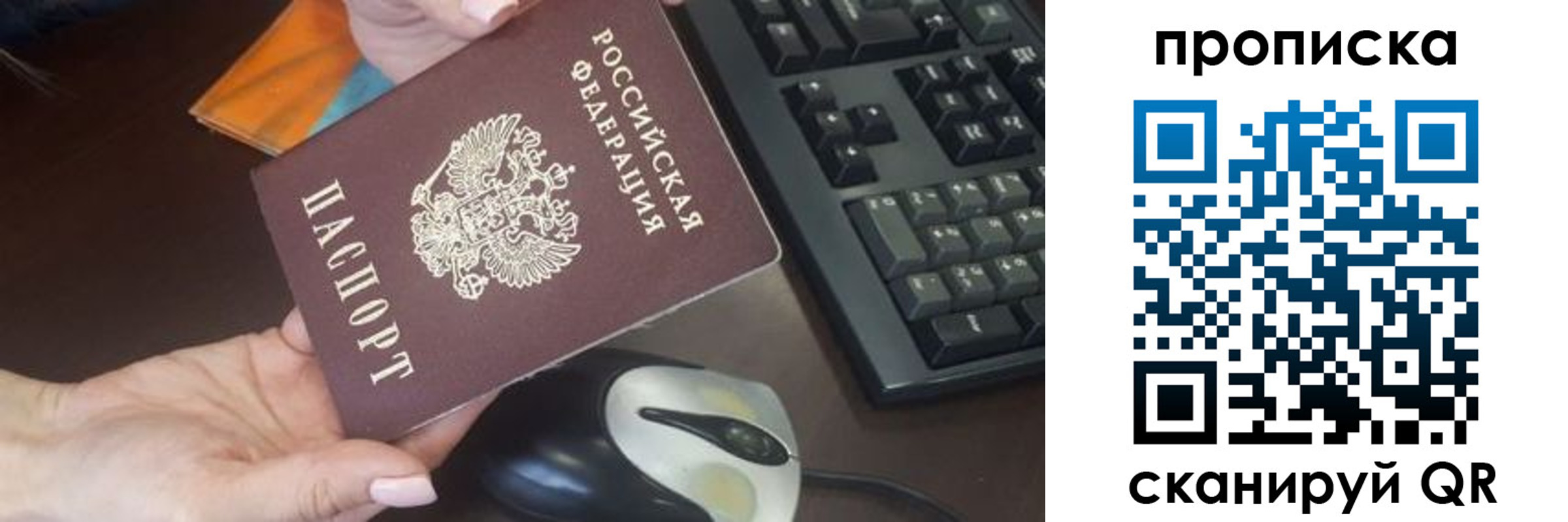 прописка гарантия в Саранске